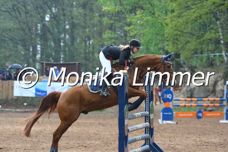 005L4167_Filou_Stil L.JPG